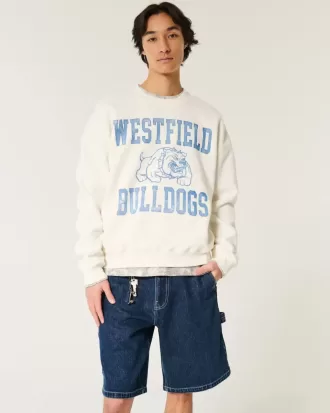 Baggy Denim Painter Shorts