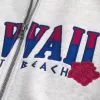 Boxy Zip-Up Hawaii Graphic Sweatshirt