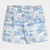 Mid-Thigh Seersucker Volley Swim Trunks