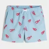 Mid-Thigh Seersucker Volley Swim Trunks