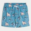 Mid-Thigh Volley Swim Trunks